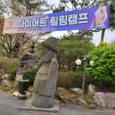 힐링셀플렉스