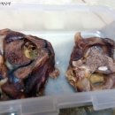 피드미(Feed Me) 이미지