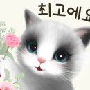 해동회