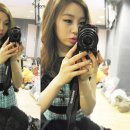 슐리 이미지
