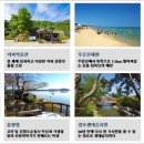 경포힐링하우스 네이버블로그
