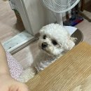 이마트24R 민락본점 | 1/19~1/25