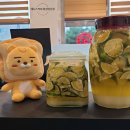 데니스화성 이미지