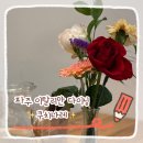 쿠치나레 | [경기/파주] 파주 쿠치나레 레스토랑｜피자·파스타·리조또까지 만족한 이탈리안 다이닝