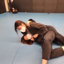 빅터 아카데미 주짓수 유도 이미지