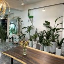 토월한의원 이미지