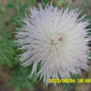 선산대로10-10 이미지