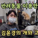 김윤경 개와 고양이 이미지