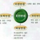 명현 이미지
