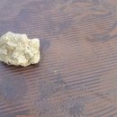 용추골된장집 이미지