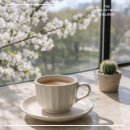 (주)다인정보통신 | 1초 완성 누룽지차, 다인 누룽지파우더를 자주 마시는 이유