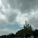다시는 안갈 한원cc 야간 라운딩 후기