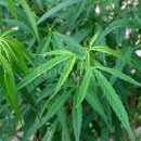 태산약품 이미지