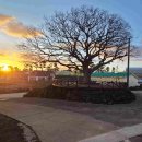 우지연대 이미지