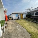 월백 민박 | 제주 2인 독채민박 구좌 월백민박에서 현지인처럼 살아보기(예약방법)