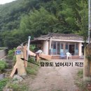 수리헌 이미지