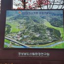 제144차 진주 수목원 &사천 실안낙조 힐링산행 후기 이미지