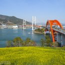 남해랑바다랑 이미지