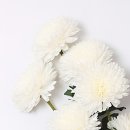 마곡휴연합의원 | '25. 11월 29일(토) 상중 휴진 안내 - 마곡휴休연합의원