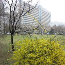 동래복국 아구랜드 이미지