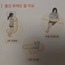 그린필로우 | [임신 일기] 바르맘 I 임산부 바디필로우 사용 후기(임산부 필수템)