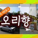 오리향식당