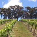 기선농장 이미지