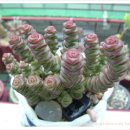 법산농장 이미지