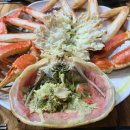 속초중앙시장맛집에서 또 다른 매력에 식당이있었네 경기도은혜횟집
