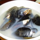 서피동파