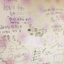 금호식당 네이버블로그