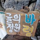 손 끝의 예술 라떼아트(정원 8명)(수)10:00 | 제주도 관광｜귤 따기 체험은 여기가 최고[귤의 정원 바령]