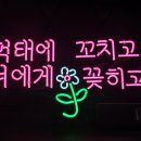 먹태에 꼬치다 이미지