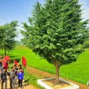 박산농장 이미지