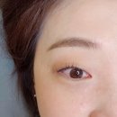 벨로시C | 연산동 속눈썹펌 잘하는 곳 유지력 좋은 벨로시뷰티