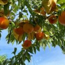 유청농장 이미지