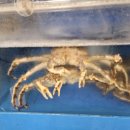 홈플러스김제점 이미지