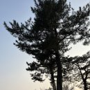 매화1공원 이미지