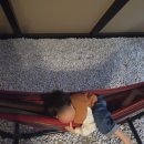 신스 | 전남 키즈 글램핑 신스글램핑 G동 추천 이용 후기