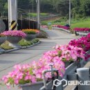 용계2리 이미지