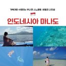 마나도 호핑투어 부나켄 나인섬 투어 | 거북이랑 수영 첫 스노클링 후기
