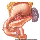 월간 에스테-인 2009년 3월호" 연재 (連載) 글 ; 내분비기계 이미지