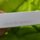 그로우모먼트 이미지