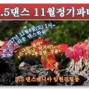 네비매니아 이미지