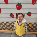 조은농장2 이미지