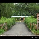 들꽃마을 이미지