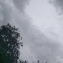 Gloomy Saturday 이미지