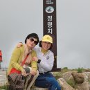 합덕초교 이미지