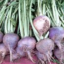 신토불이 이미지