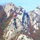 그루터기 이미지